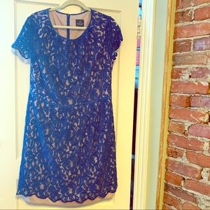 Adrianna Papell lace dress blue and nude size 16W